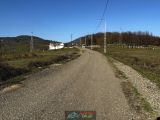 DERELİ KÖYÜNDE MANZARALI YATIRIMLIK 3617m2 ARAZİ ** YOLU AÇIK